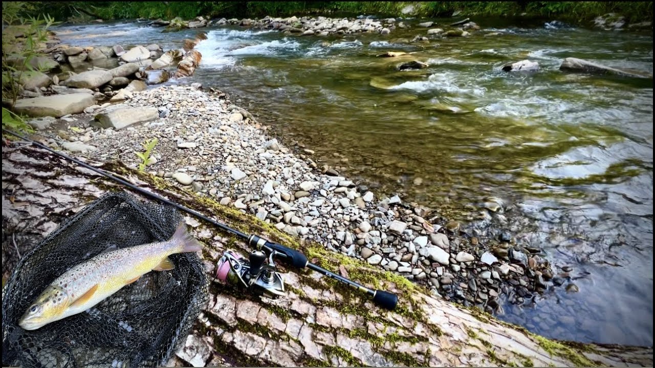 ФОРЕЛЬ|РИБАЛКА В КАРПАТАХ 2023