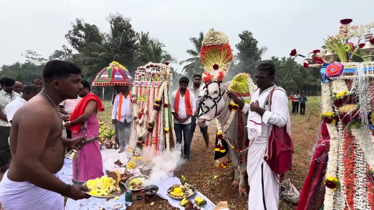 ಶ್ರೀ ಮಂಟೇಸ್ವಾಮಿ ಬಸವಣ್ಣ ಮಠದ ಹೊನ್ನಾಯಕನಹಳ್ಳಿ ಬಸವಣ್ಣ 