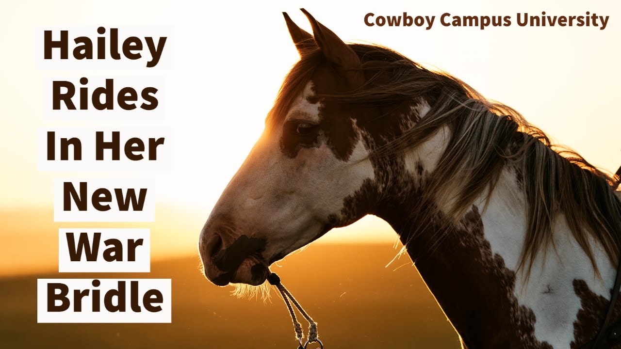 Watch Hailey Ride Pete In Her New War Bridle