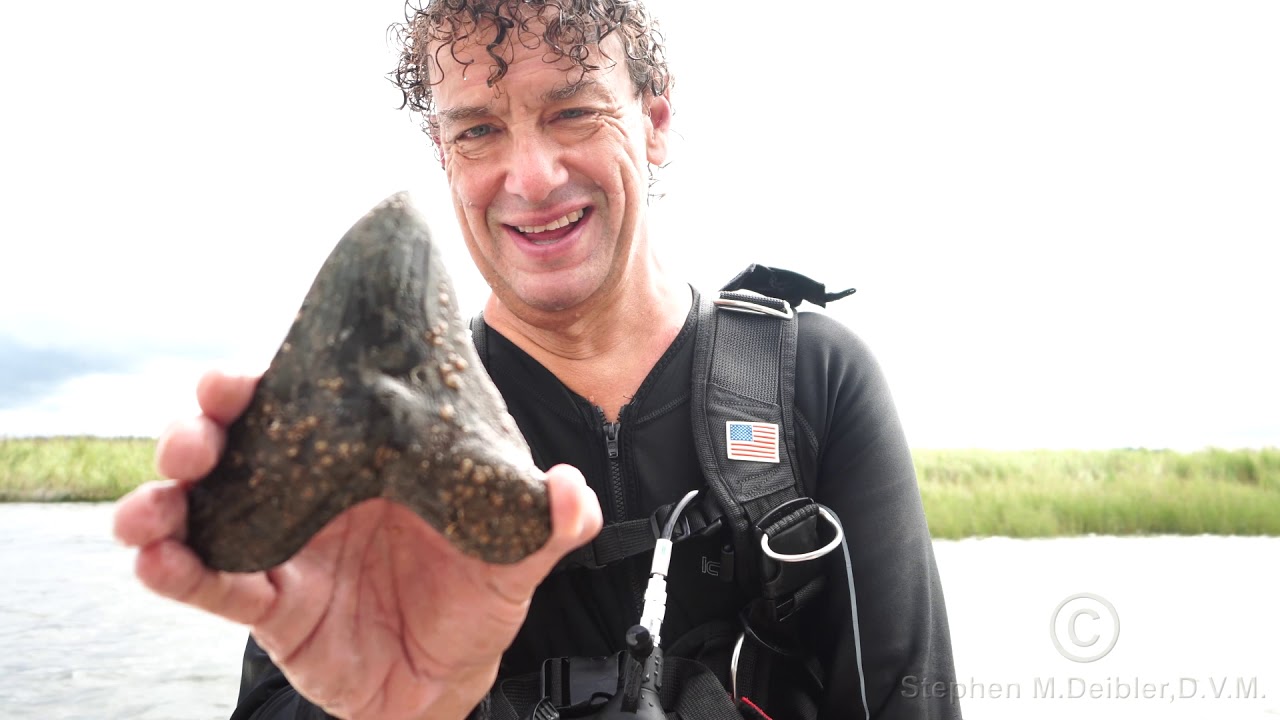 Diving the Cooper River