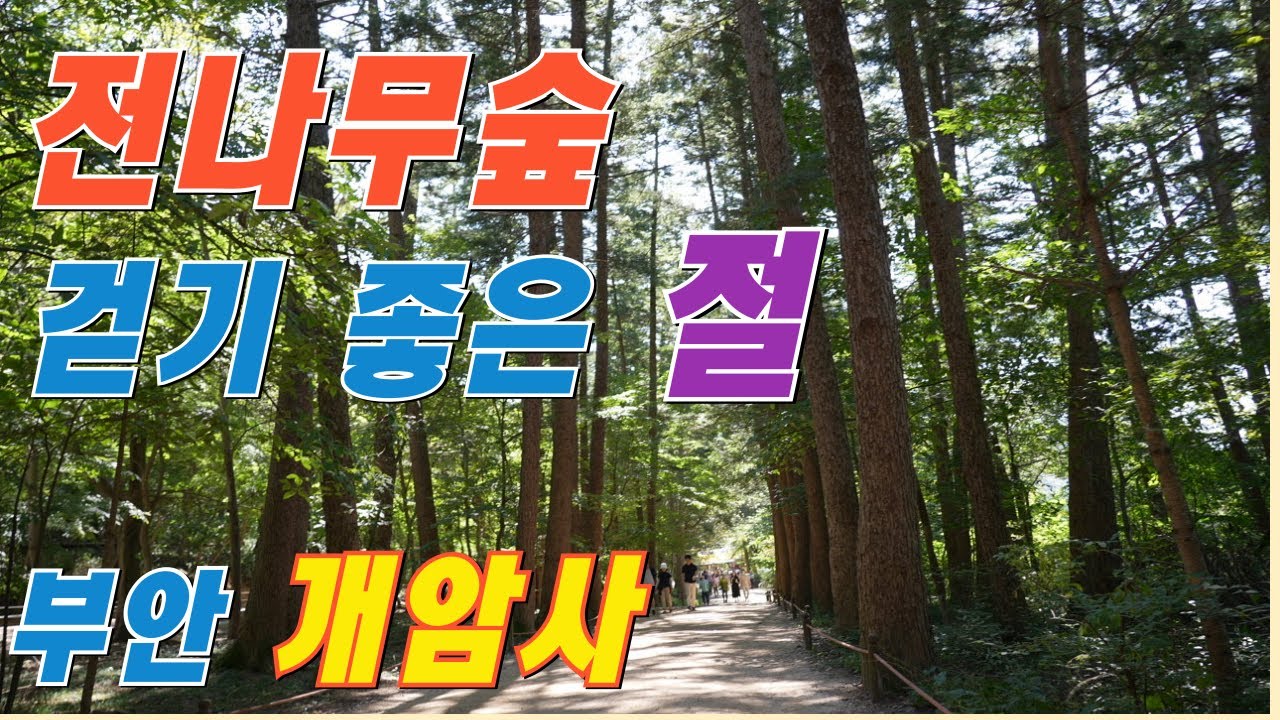 전나무 숲길 걷기좋은 절 부안 개암사 사찰여행