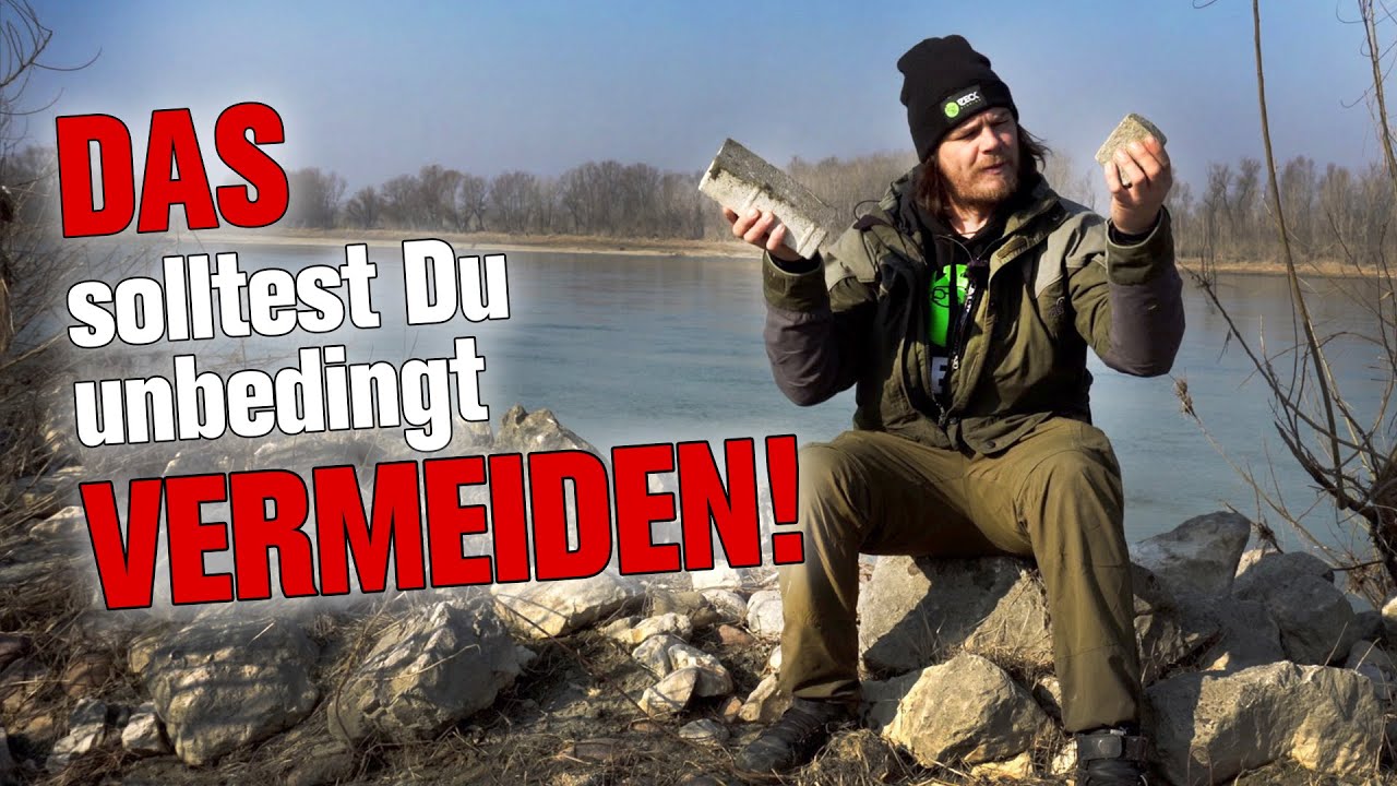 Die PERFEKTE Montage zum Waller-Angeln!