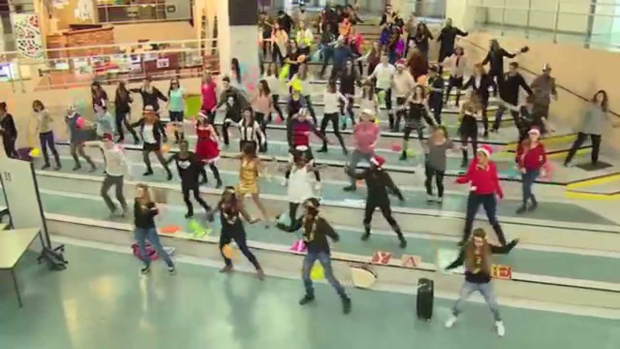 LIPDUB 2014-2015 LICENCES PRO RISLAV-TCCI