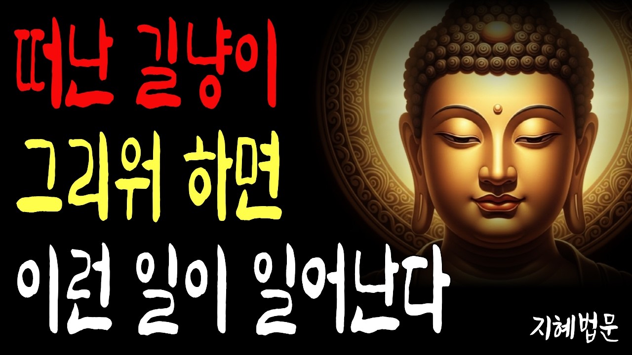 떠나간 길냥이를 그리워하는 마음 부처님은 이렇게 보셨습니다 | 부처님말씀  | 시니어불교 | 지혜법문 | 마음의평안