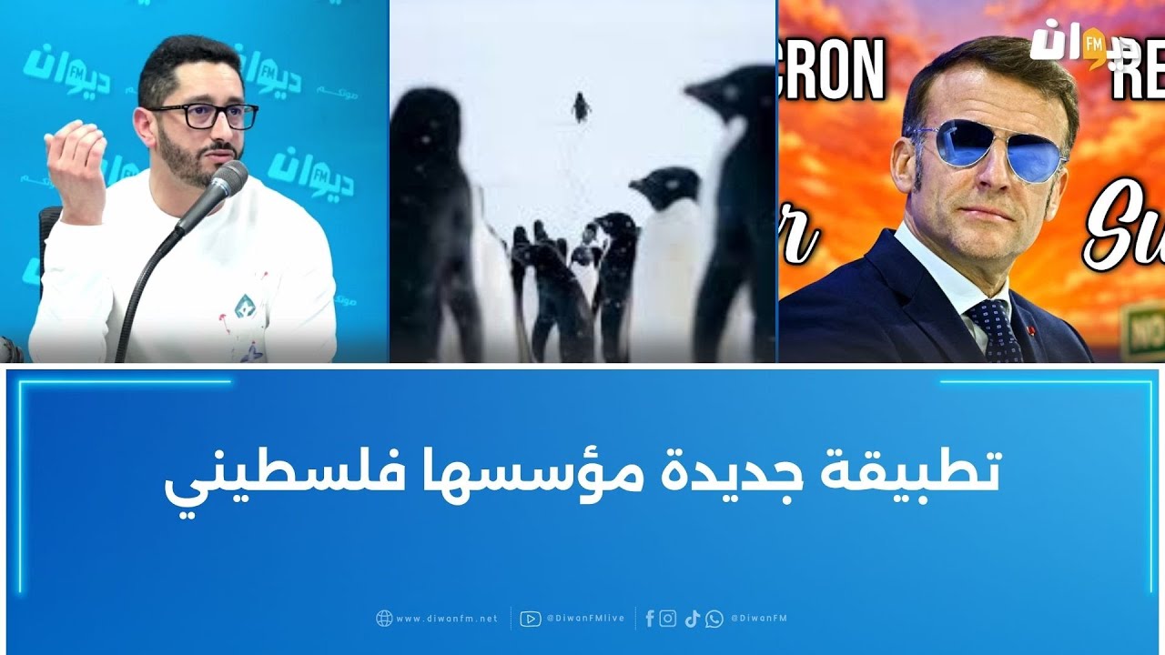 بين البطريق و علاء الخائن و ماكرون.. هذه أكثر الفيديوهات تراند في آخر اسبوع من جانفي ..