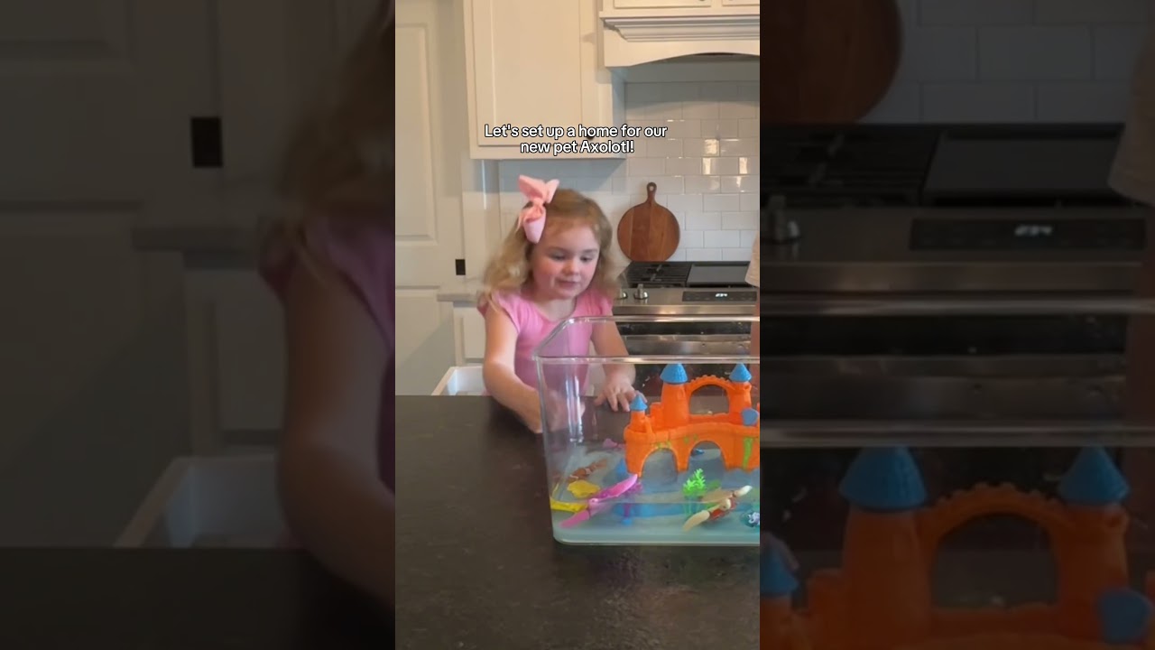 🏠 Let&rsquo;s Set Up a Home for Our New Pet Axolotl!