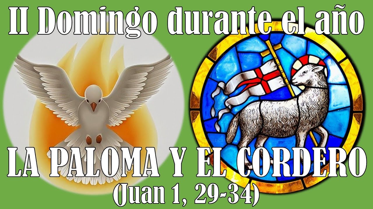 La Paloma y el Cordero. (Juan 1,29-34), 2do. Domingo durante el año.