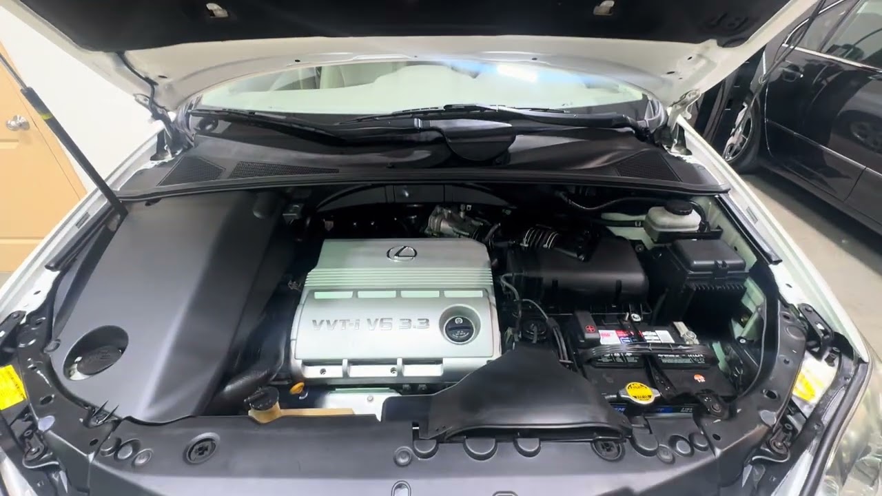 One Owner, 2004 Lexus RX330 Cold Start