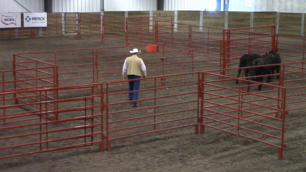 Ron Gill, Facilities, Stockmanship/Stewardship 2019