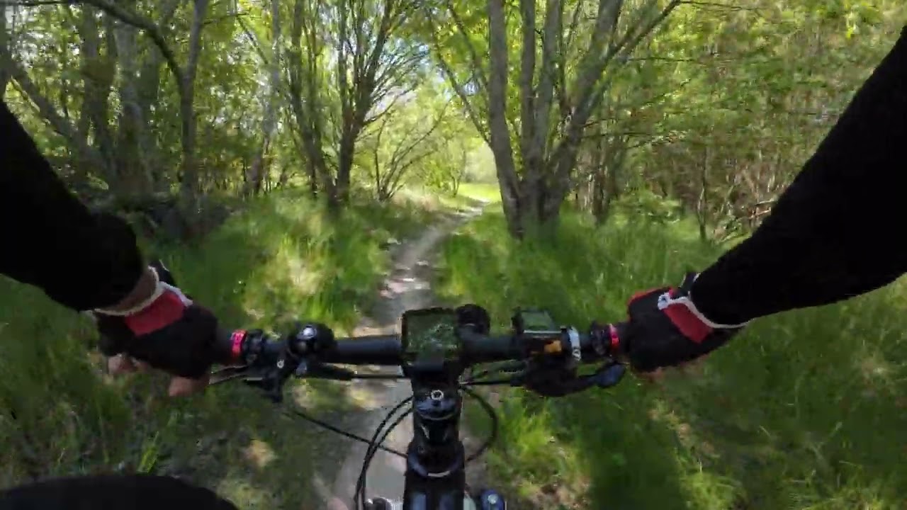 MTB trail – Hedeland 2/2
