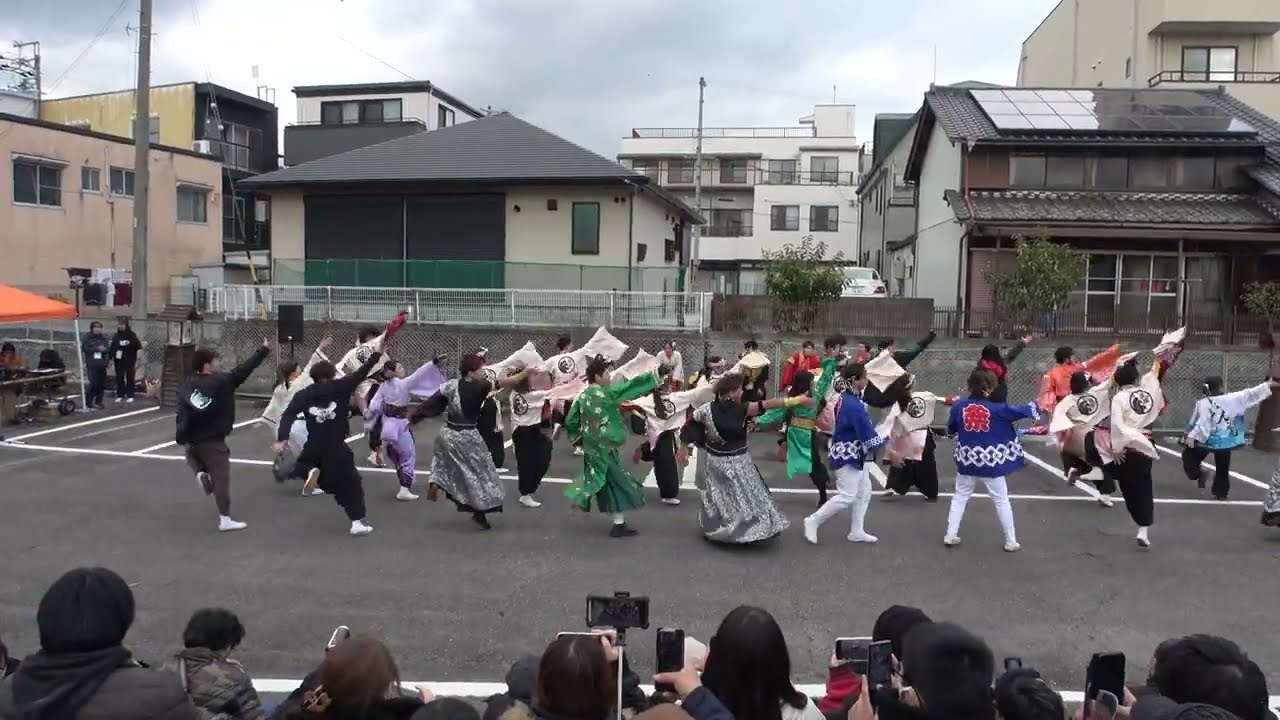 波桜　バサラカーニバル 2024
