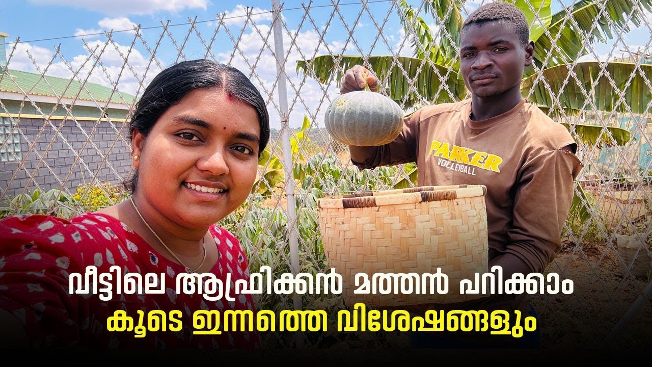 വീട്ടിൽ ഉണ്ടായ ആഫ്രിക്കൻ മത്തൻ പറിച്ചാലോ കൂടെ കുറച്ച് വീട്ട് വിശേഷങ്ങൾ#africa #vlogs