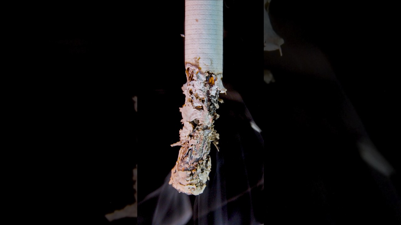 Close up of cigarette smoking 🚬 🚭  #closeup #ASMR #macrovideo #experiment  #satisfying &nbsp;#asmrsounds