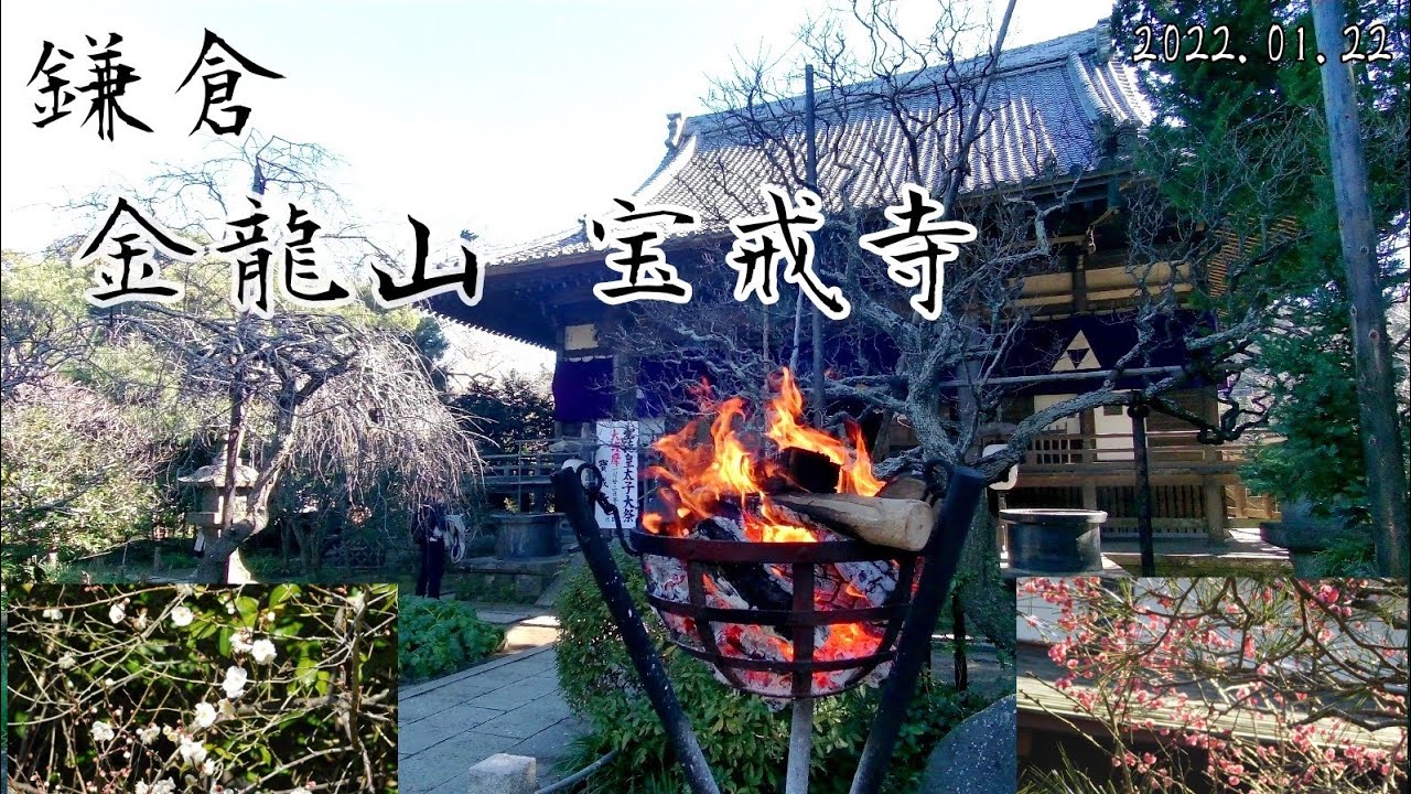 鎌倉 宝戒寺を参拝し、その帰りに紅谷でクルミッ子をお土産に買いました。