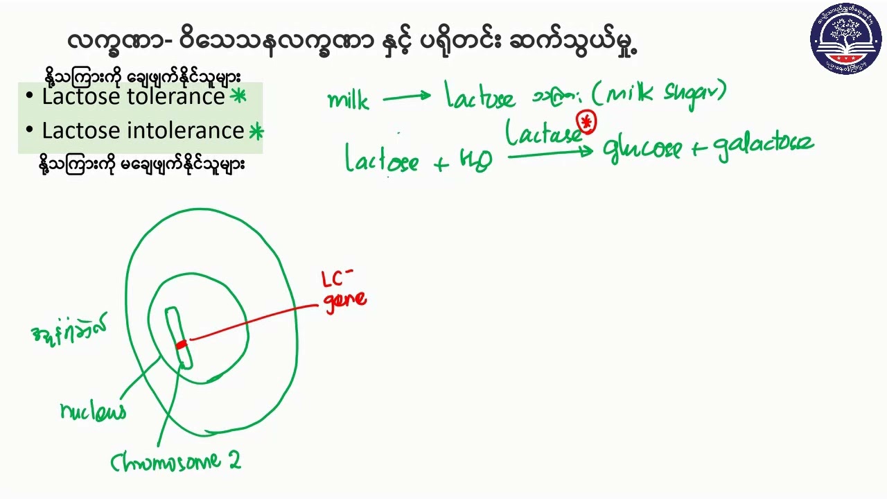 Grade 10, Biology, Chapter 5, Part8
