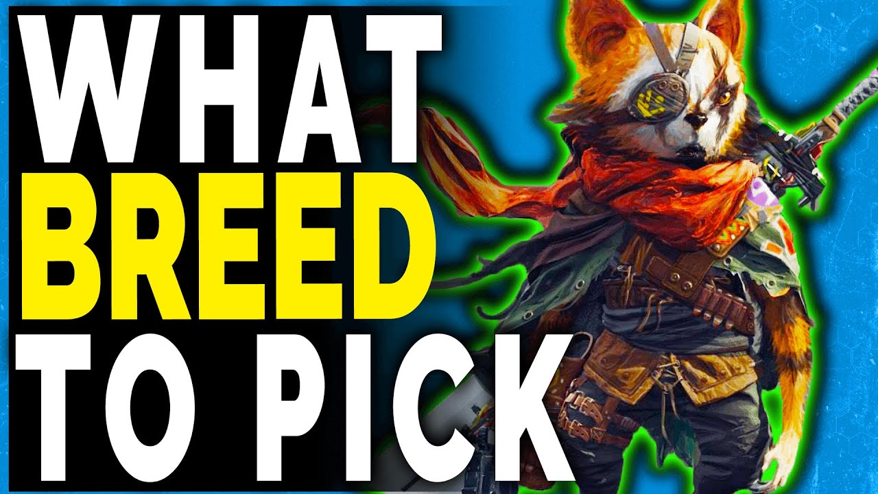 Biomutant: КАКУЮ ПОРОДУ ВЫБРАТЬ? — Обзор пород Biomutant — стили игры с породами
