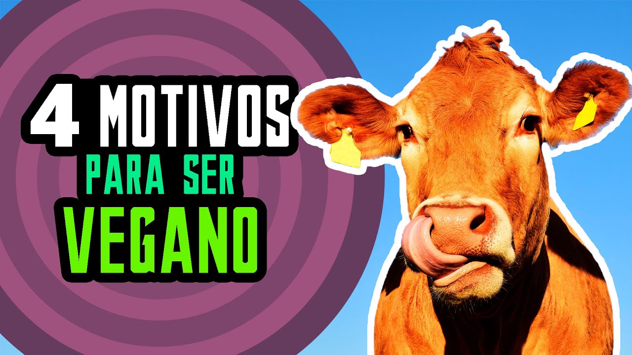 4 Motivos Para Ser Vegano