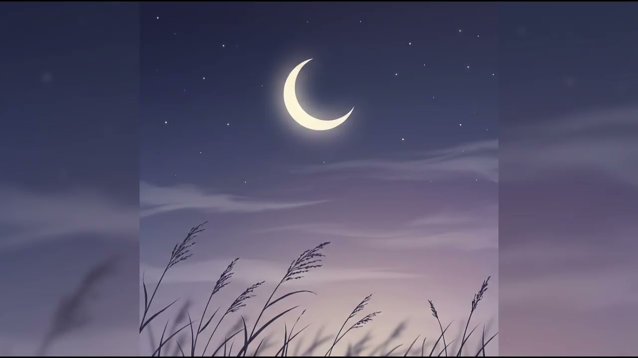 Relaxation Instrumental Music5
