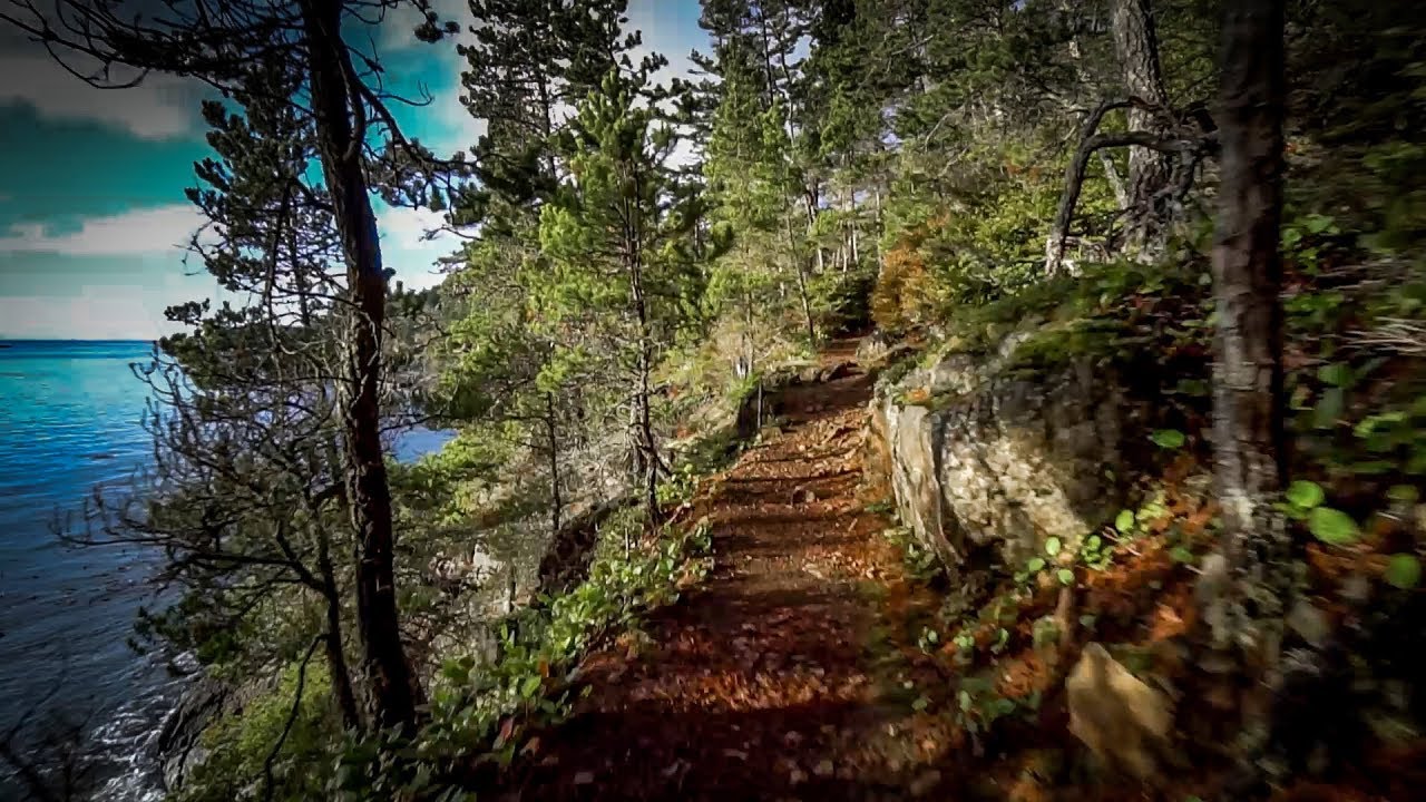 Hiking the East Sooke Coast trail