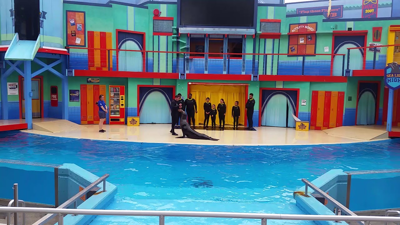 Ariana's 6th Birthday Sea Lion Encounter Surprise.