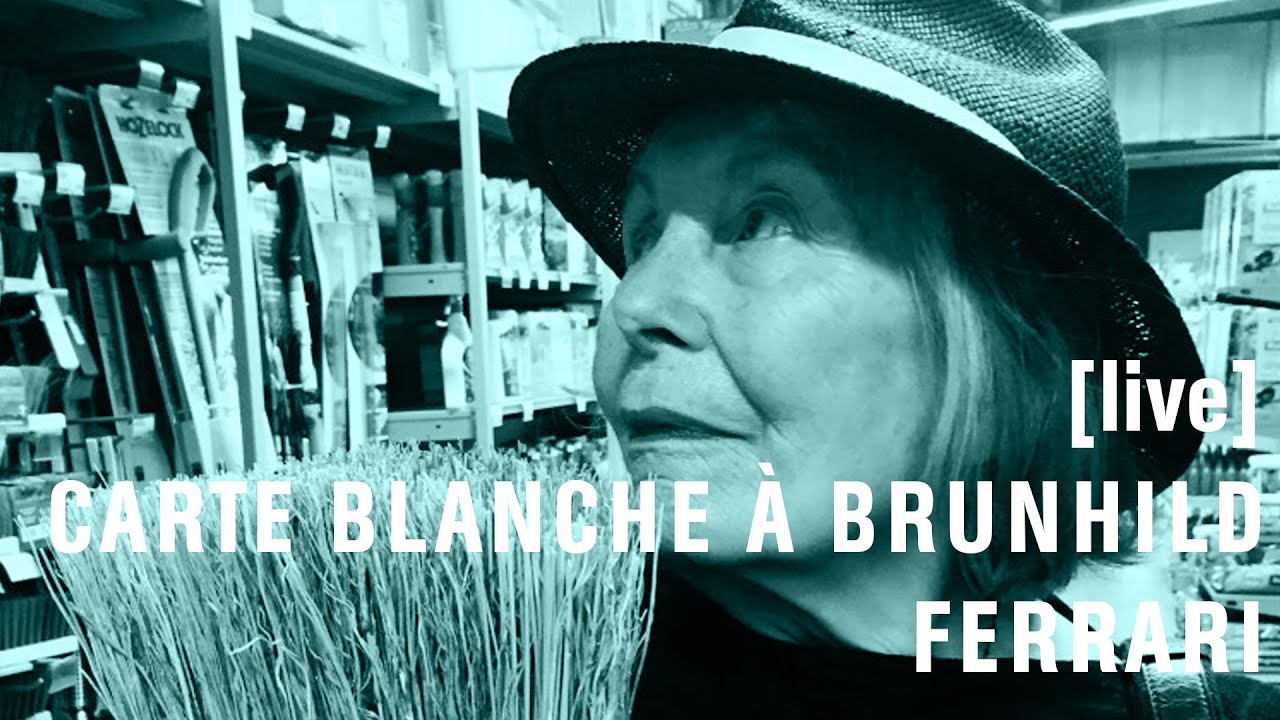 [LIVE] CARTE BLANCHE À BRUNHILD FERRARI : CONCERT DE LUKE FOWLER ET DAVID GRUBBS