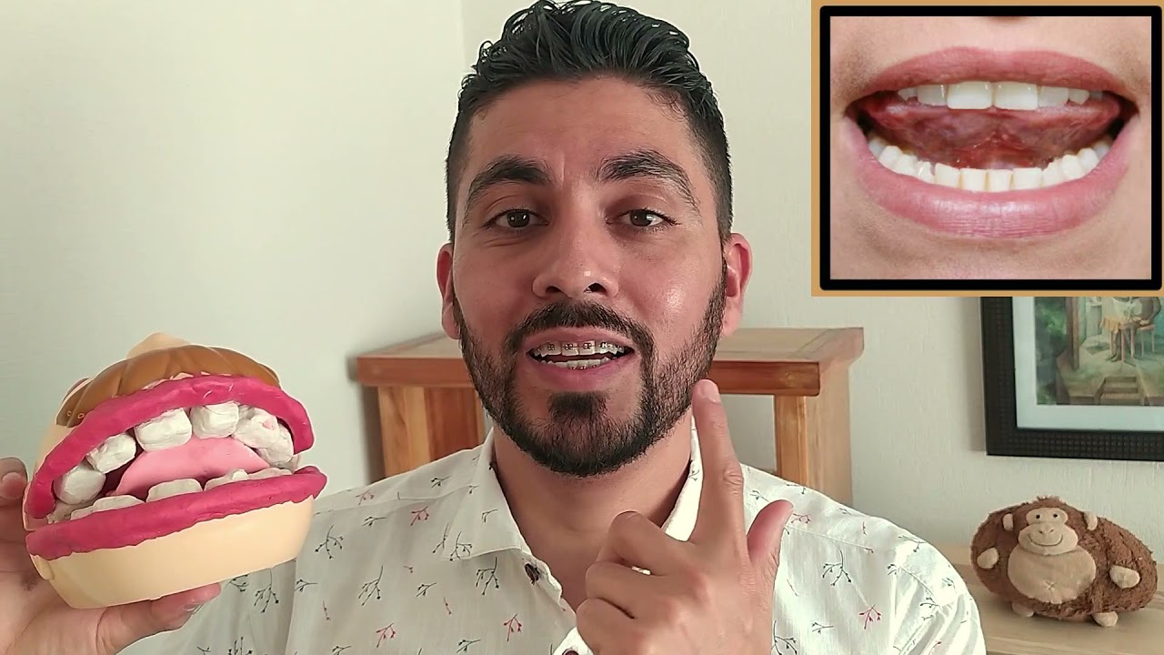 Aprende a pronunciar la R, Parte 1: Punto y modo de articulación
