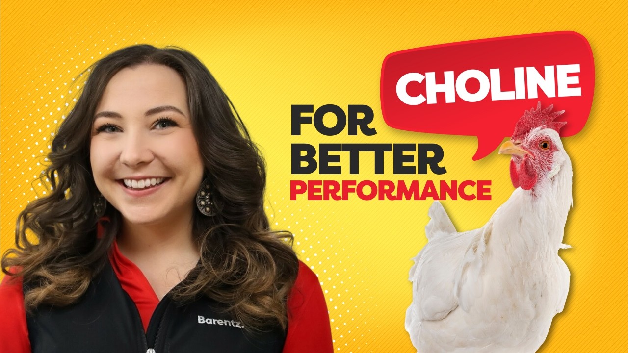 Choline in Modern Diets – Jordyn Studer