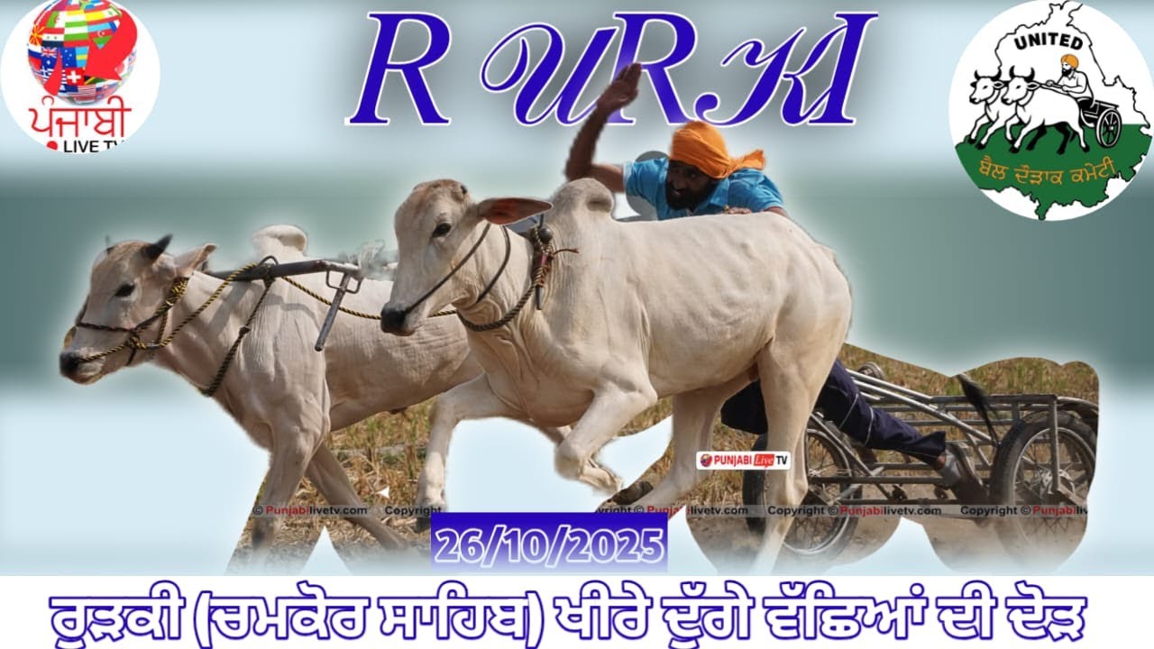 🔴[Live] ਰੁੜਕੀ (ਚਮਕੋਰ ਸਾਹਿਬ) ਖੀਰੇ ਦੁੱਗੇ ਵੱਛਿਆਂ ਦੀ ਦੋੜ 26 ਅਕਤੂਬਰ 2025
