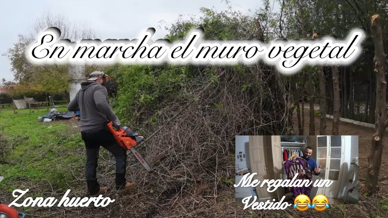 El MURO VEGETAL en marcha , ARMARIO completado 