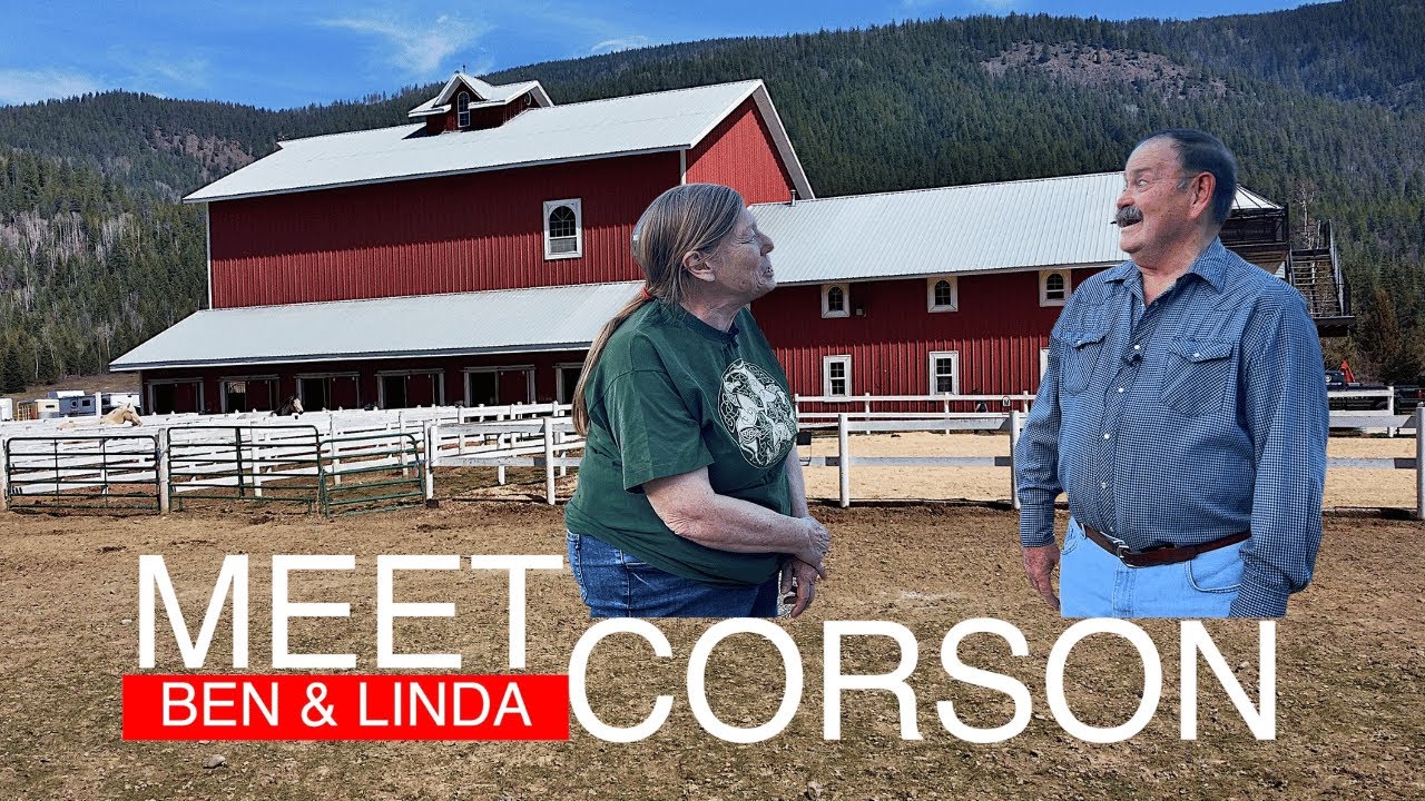 Meet Ben & Linda Corson of Corson's Creams: American Cream Draft Horse Breeding, Training & Sales