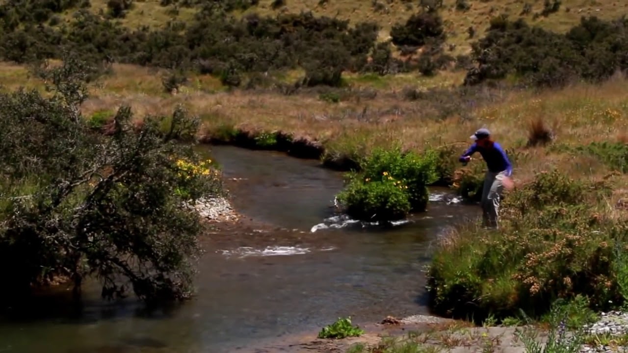 T&aacute;cticas avanzadas de pesca a ninfa - Elegir una ninfa