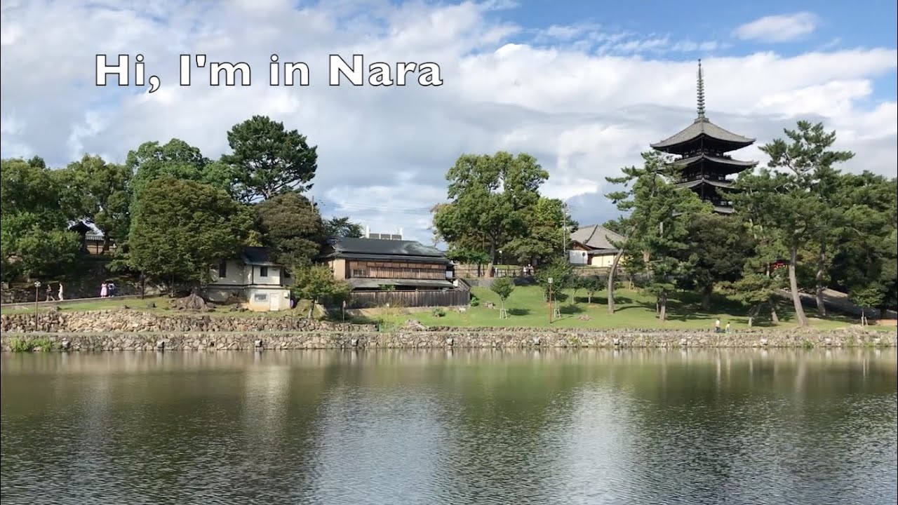 Nara 奈良 Solid Black Ink 墨 Kobaien 古梅園