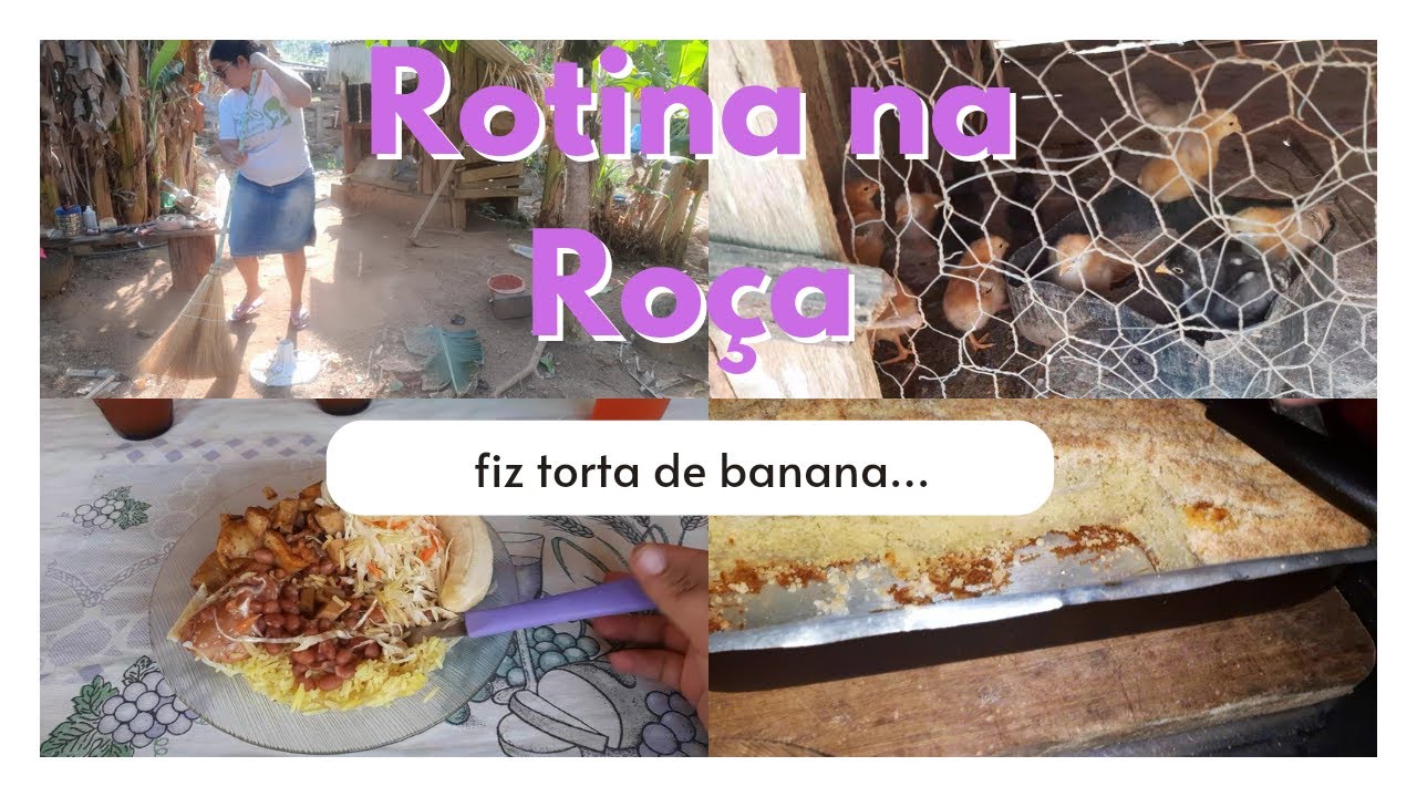 Vlogão De um dia na roça + 🐤compramos pintinho de granja +fiz torta de banana 🍌🍌