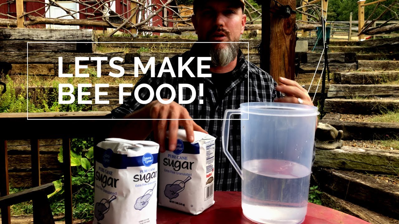 Making 2:1 Bee Sugar Syrup Recipe ( fall feeding for honeybees)