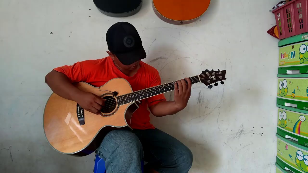 Lily - Alan Walker (fingerstyle cover)
