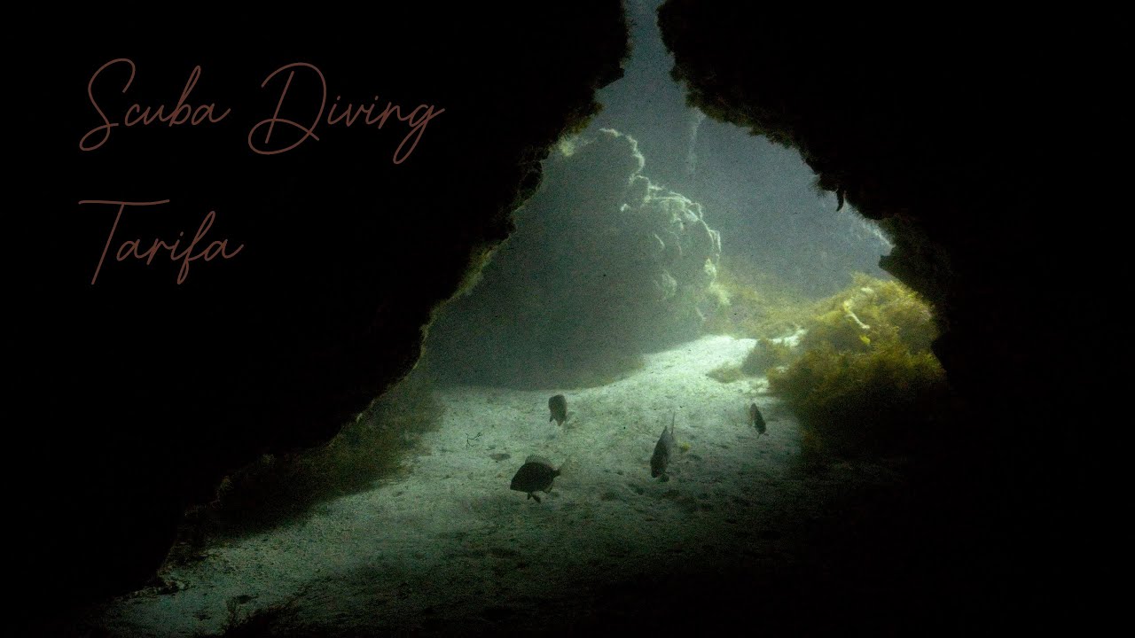 Scuba Diving in Tarifa Spain, october 2023 Dive 1