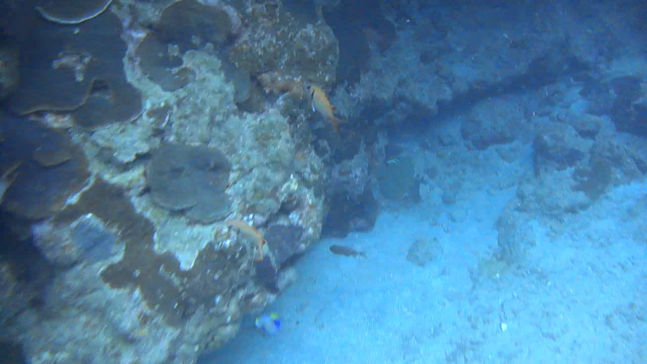 M4H03895