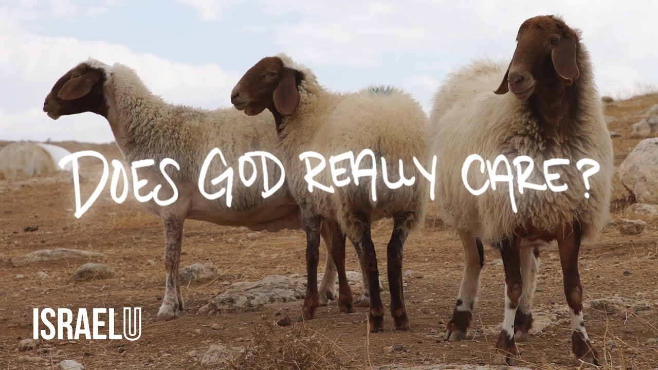 Does God Really Care? | IsraelU EPISODE THREE | 5 Minute Devotions