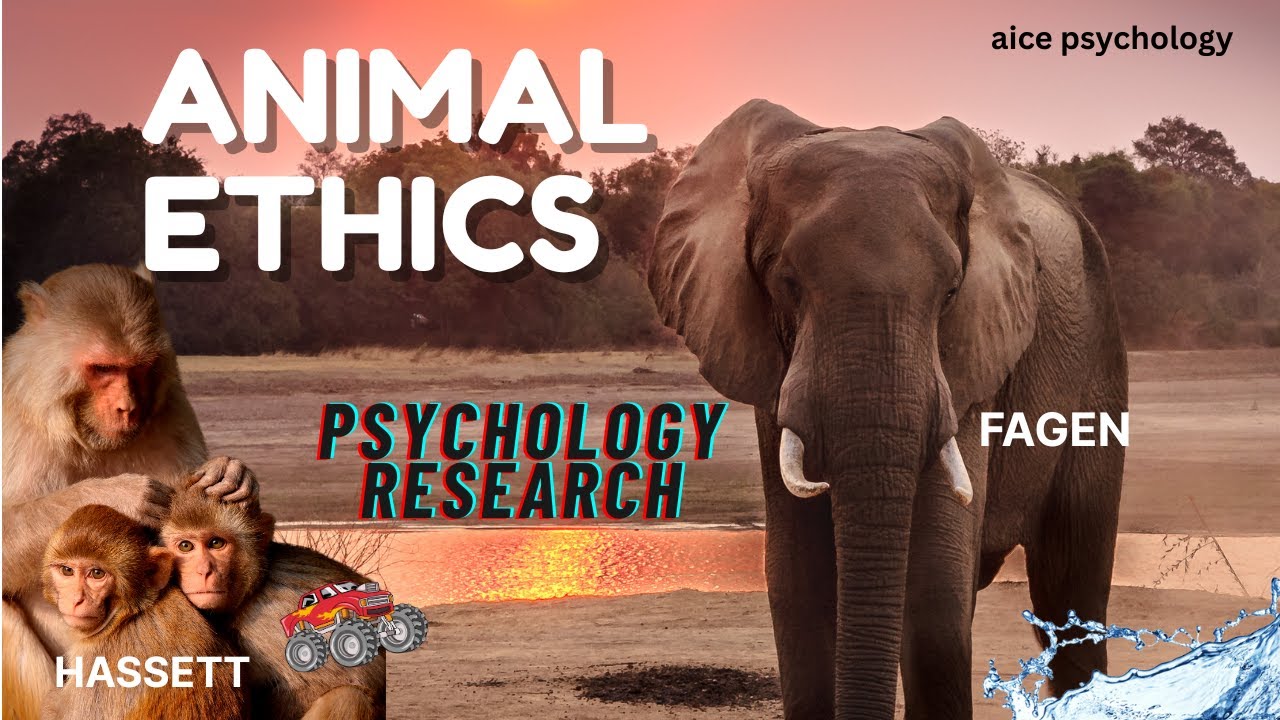 AS Level Psychology: Animal Ethics in Psychology