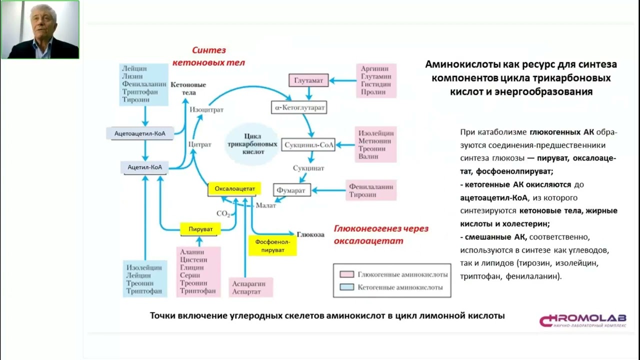 Метаболомика обмена ароматических аминокислот
