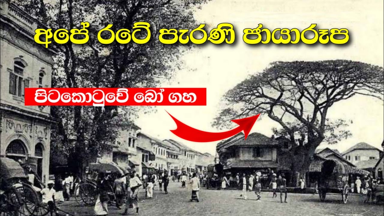 Old Images of Sri Lanka ශ්‍රී ලංකාවේ පැරණි ජායාරූප Lassana Derana ලස්සන දෙරණ 