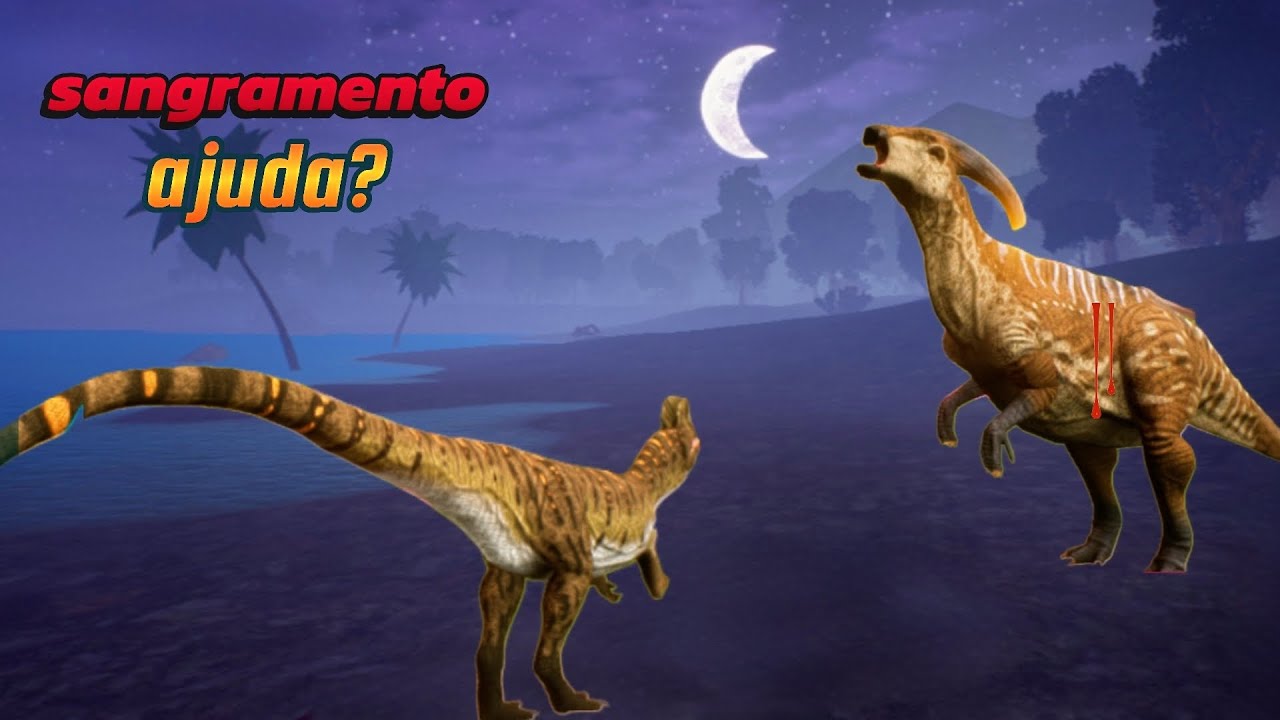 SANGRAMENTO REALMENTE AJUDA??