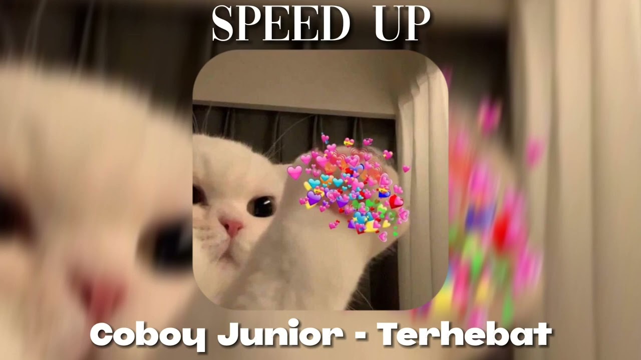 playlist; salting bersama (speed up)