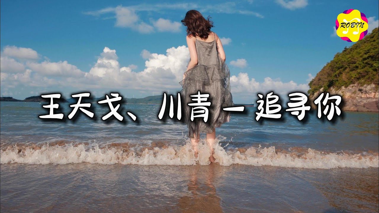 王天戈、川青 - 追寻你『万物复苏，花儿为你盛开，心透明为你留白，乌云不会是阻碍，我要把你找回来。』【动态歌词MV】