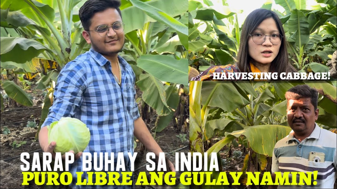 SARAP BUHAY SA INDIA? PURO LIBRE ANG GULAY NAMIN