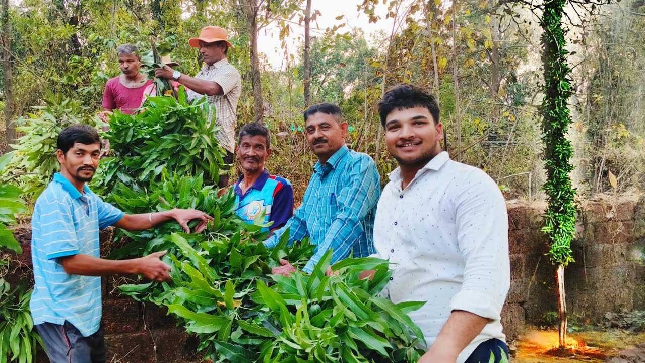 गावाकडे पारंपरिक पद्धतीने केली होळी साजरी lवाडीतील सर्वजण मिळून गेलो होळी तोडायलाl Holi Festival२०२६