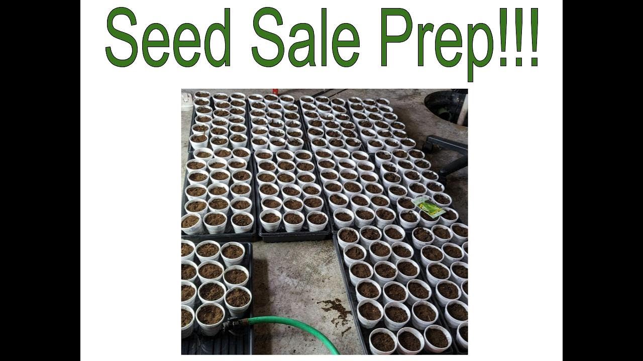 Plantings Seeds for Plant and Seedling Sale