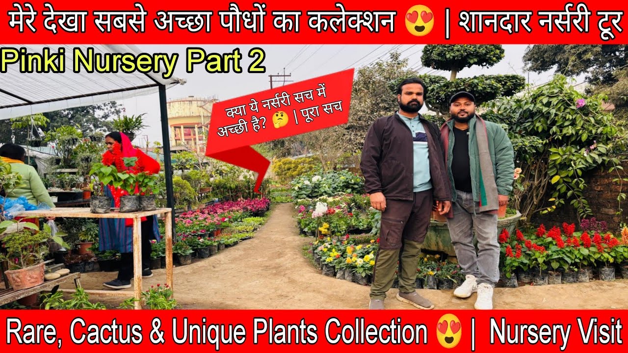 RARE,CACTUS &UNIQUE PLANT COLLECTION PART 2