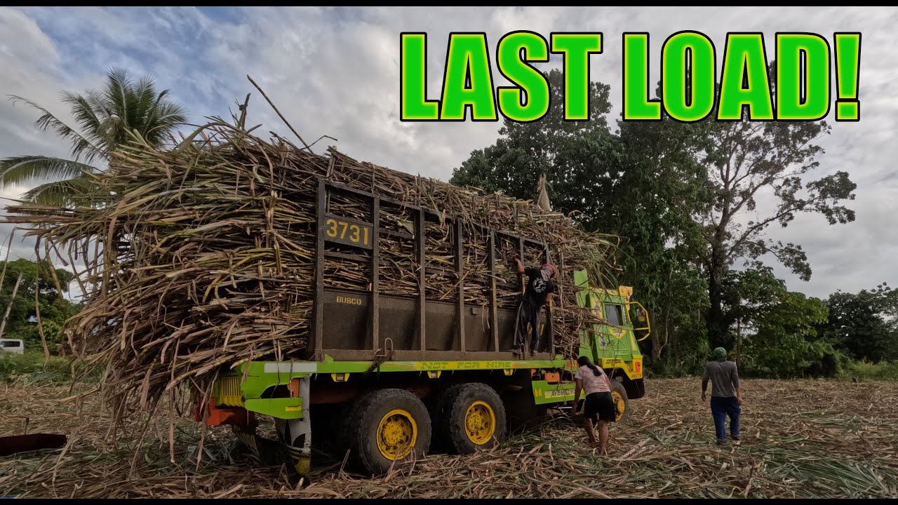 LAST LOAD FOR 2024-2025 SEASON!