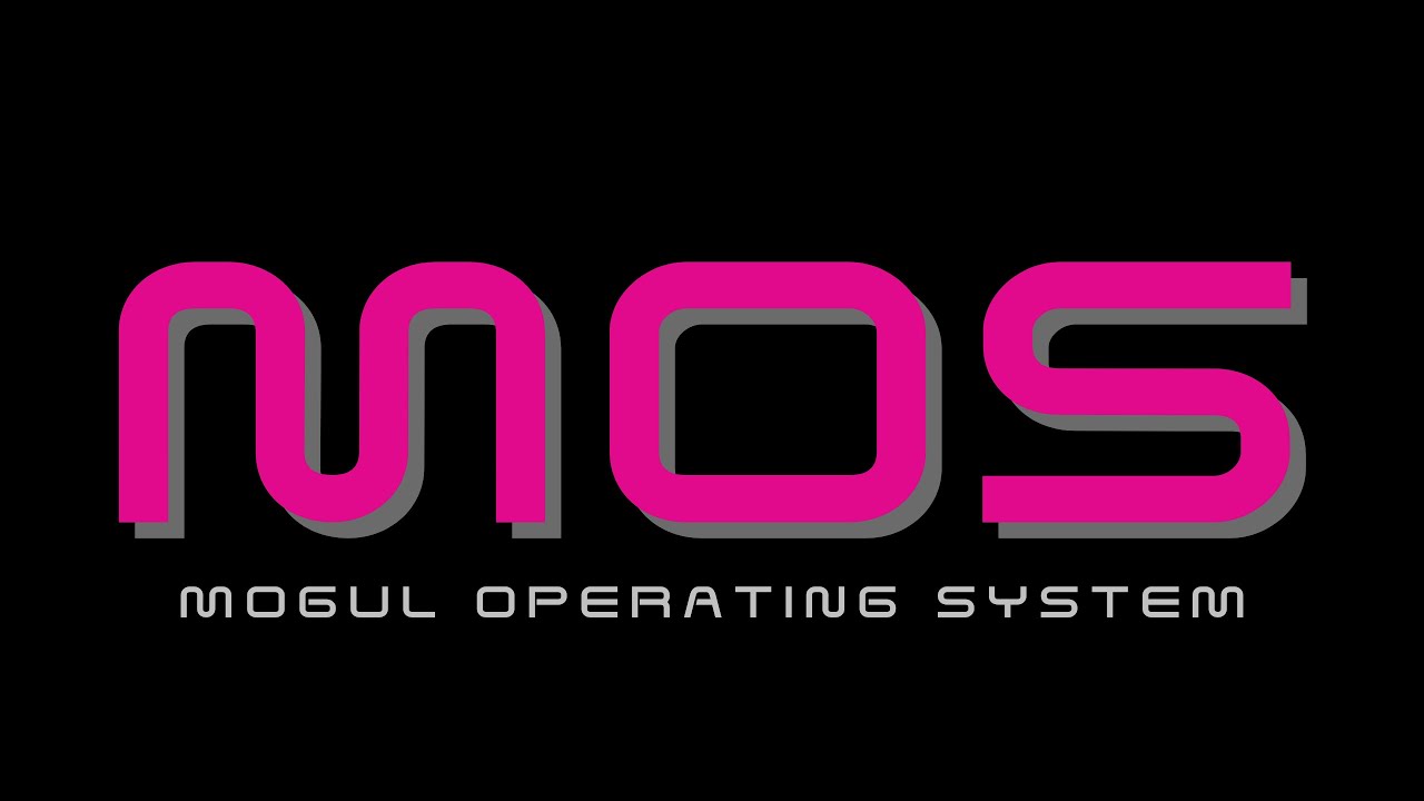 Day 3 - The Must-Have System for Women Experts